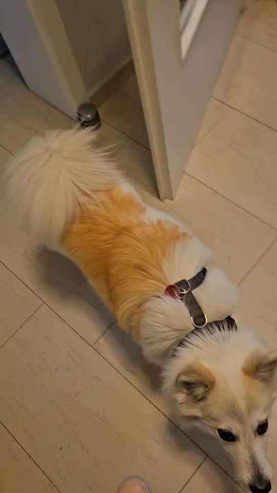 56. Impulskontrollchallenge : Ich warte auf dich !-Beitrag-Bild