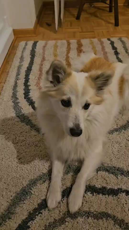 44. Impulskontrolle Callenge: ,,Essen ins Gesicht legen"-Beitrag-Bild