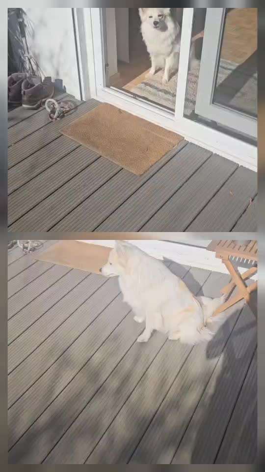 Impulskontroll Übung 70: Gemeinsam-Beitrag-Bild