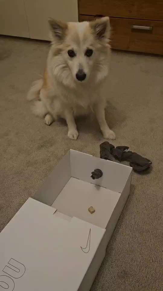 Trickchallenge Nr. 84

"Etwas öffnen "-Beitrag-Bild