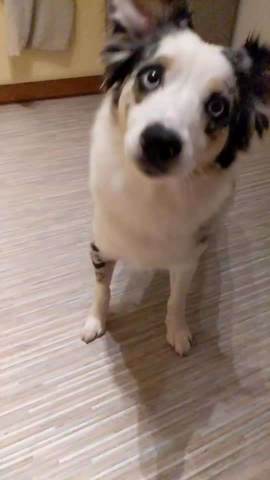 35. Trick Challenge - Schmeckts/ Zunge raus-Beitrag-Bild