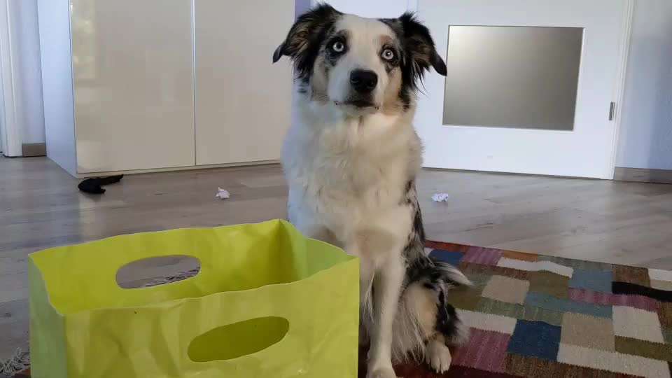 36. Trick-Challenge: Aufräumen!-Beitrag-Bild