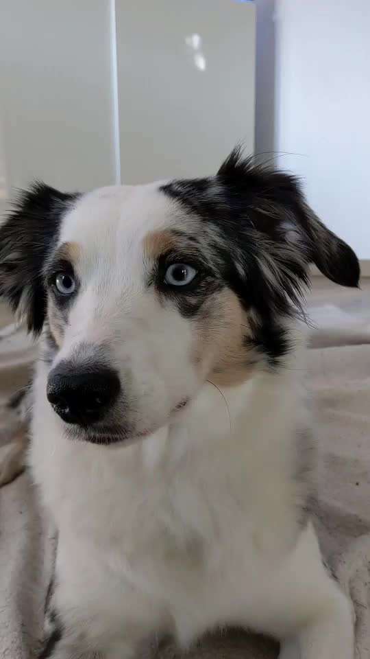 35. Trick Challenge - Schmeckts/ Zunge raus-Beitrag-Bild