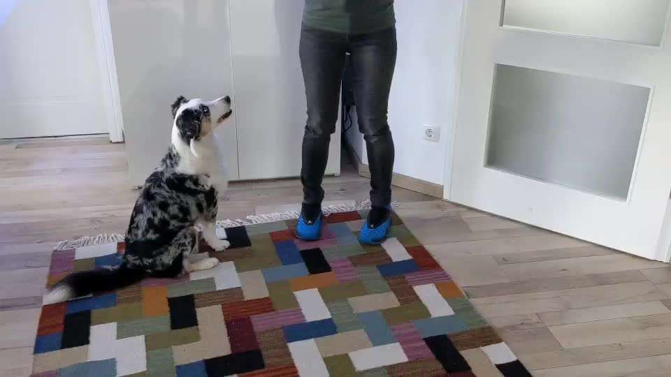 37. Trick-Challenge: Pinguin-Lauf-Beitrag-Bild