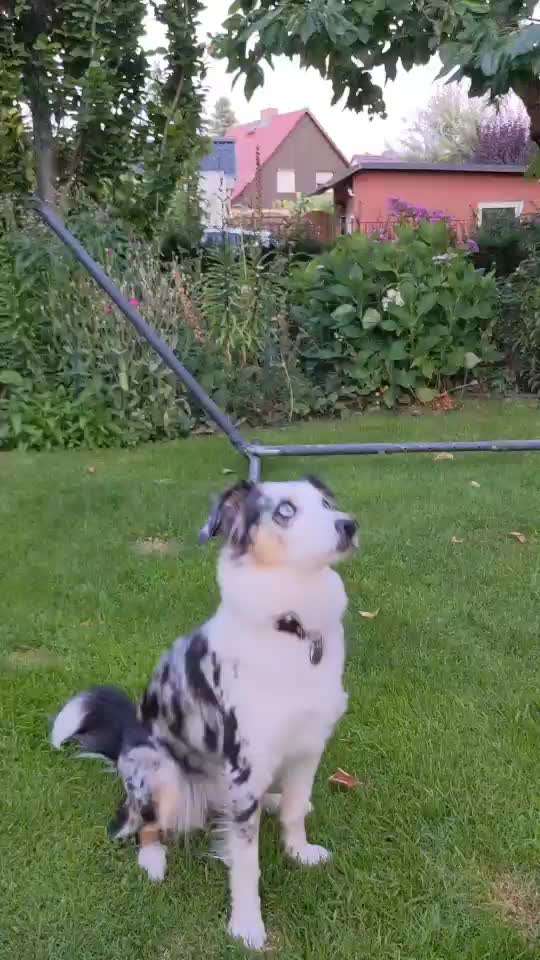 Trick Challenge Nr. 15-Beitrag-Bild