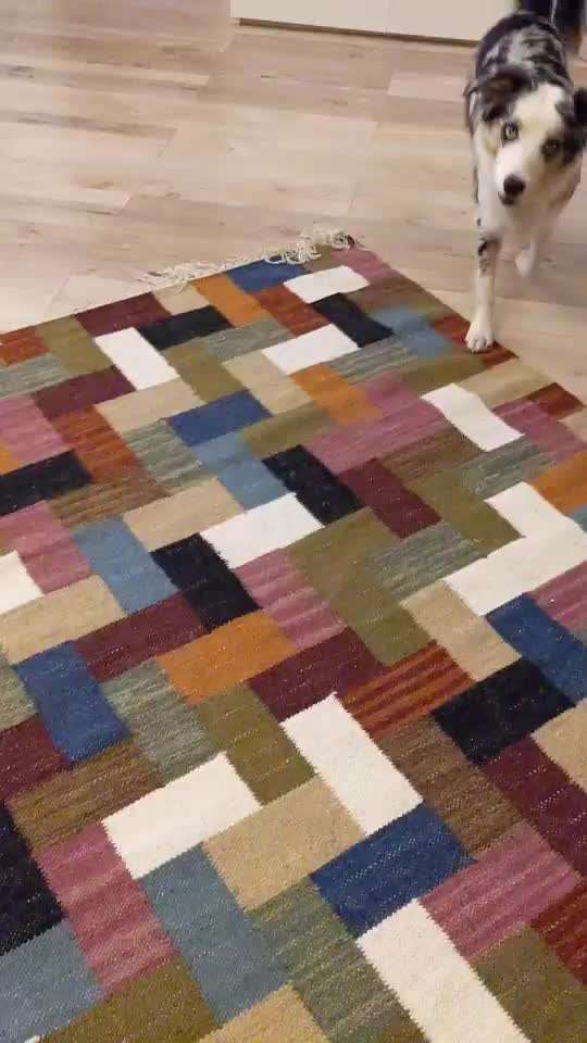 Trick Challenge Nr. 8-Beitrag-Bild