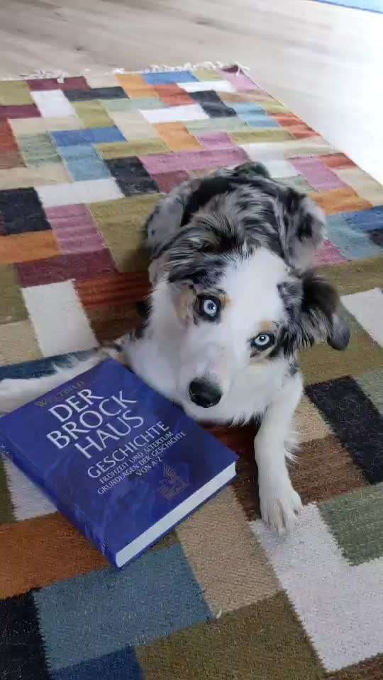 TRICK CHALLENGE NR. 10-Beitrag-Bild