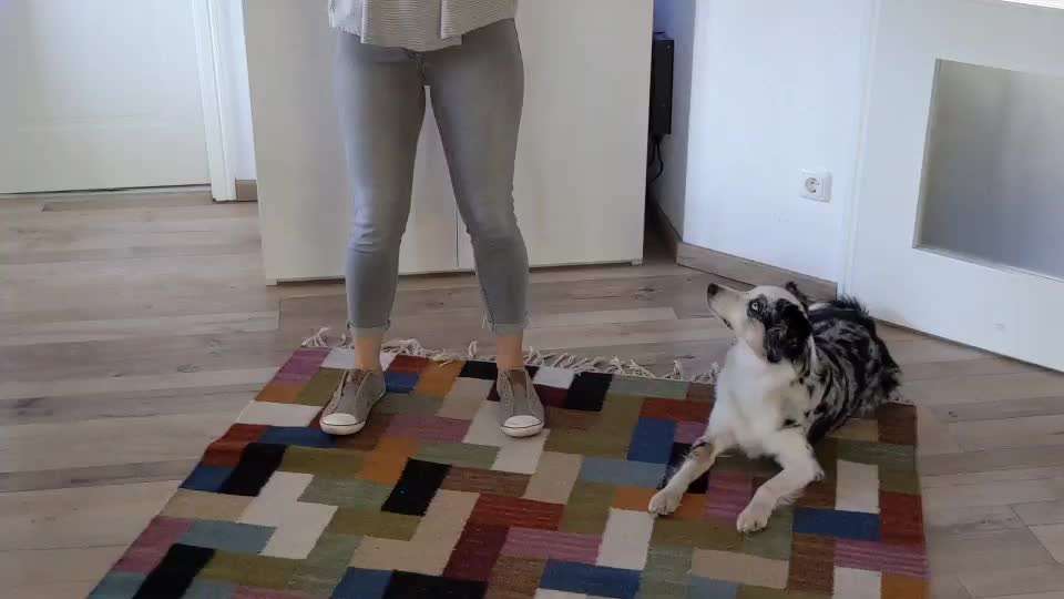 37. Trick-Challenge: Pinguin-Lauf-Beitrag-Bild