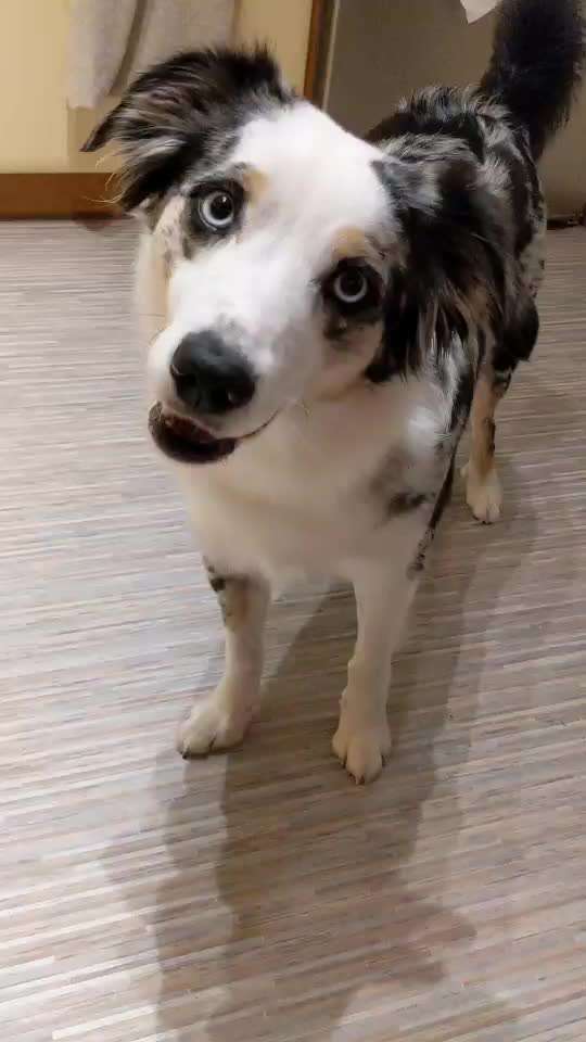 35. Trick Challenge - Schmeckts/ Zunge raus-Beitrag-Bild