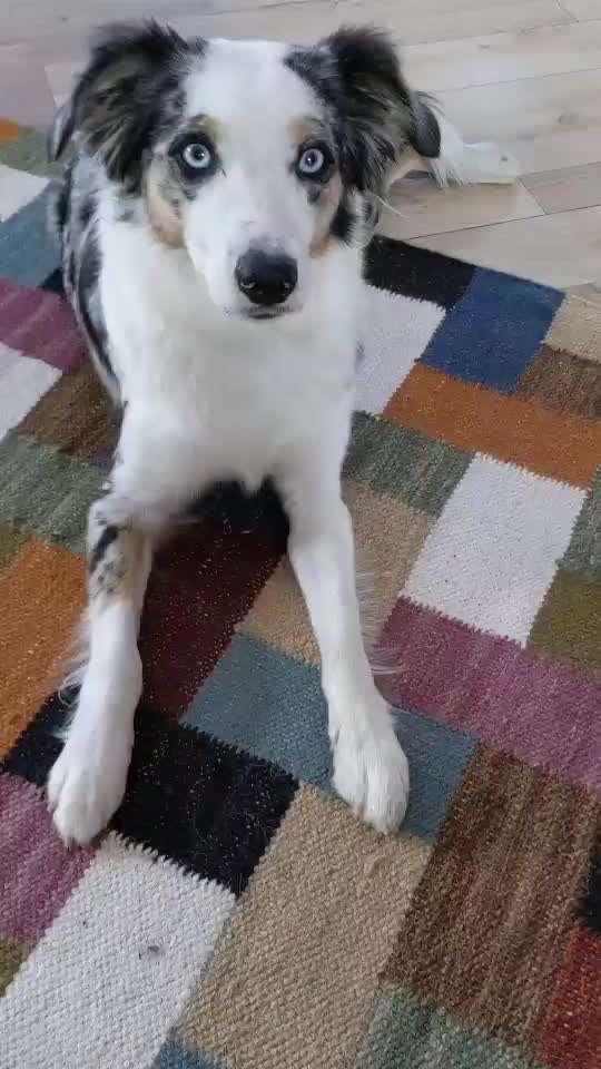 Trick Challenge Nr. 14-Beitrag-Bild