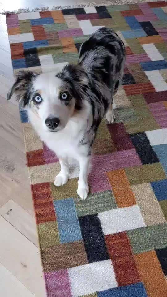 TRICK CHALLENGE NR. 10-Beitrag-Bild