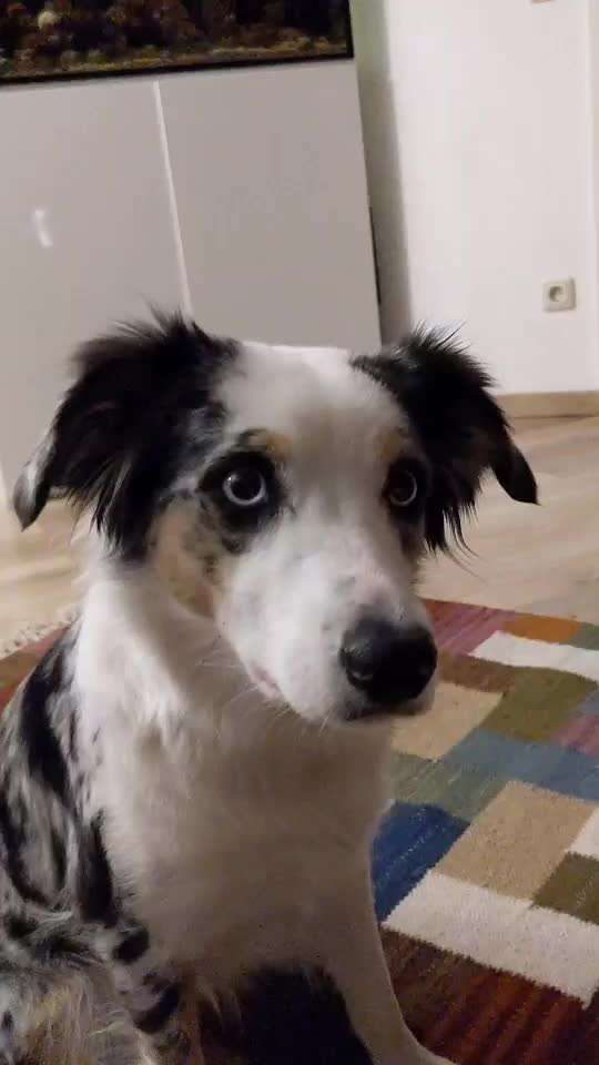 Trick Challenge 13 - Etwas Halten-Beitrag-Bild