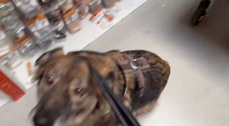 82. Trickspiel : Bleib!-Beitrag-Bild