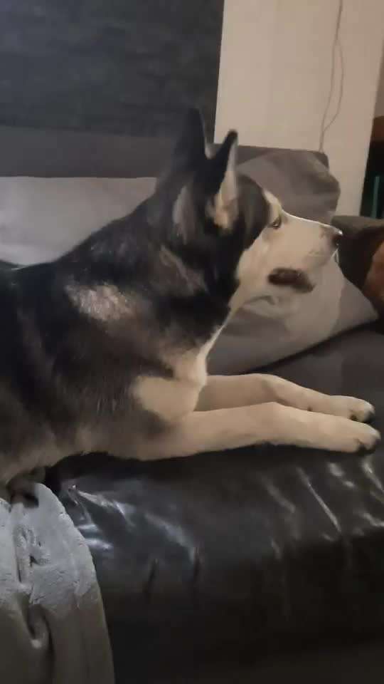 Video Challenge Nr. 4 - Lecker, Lecker-Beitrag-Bild