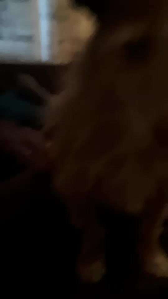 im Gegensatz zu damals.-Beitrag-Bild