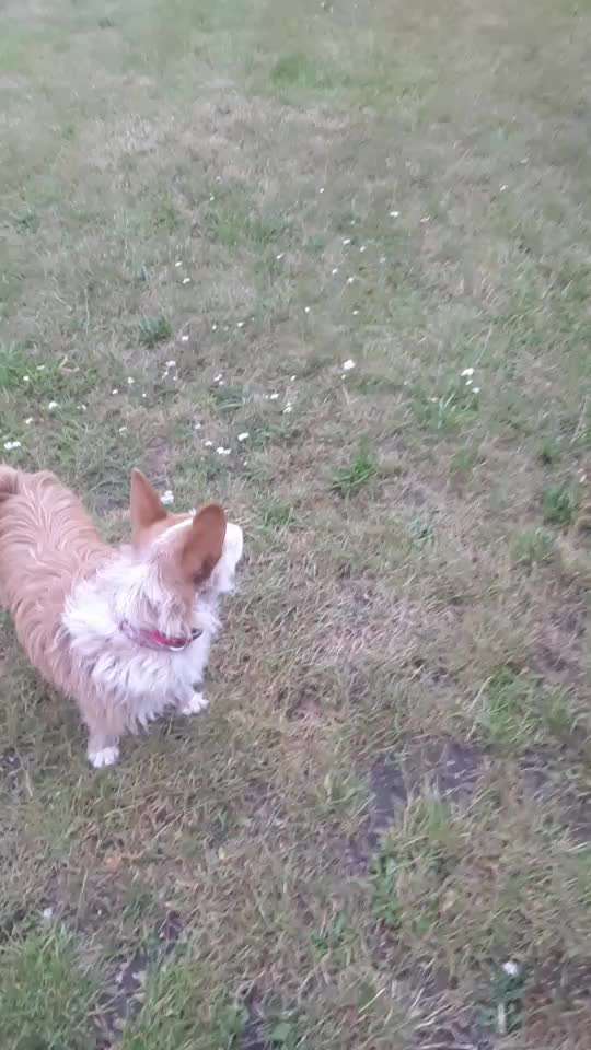 Zutreffende "Vorurteile"?-Beitrag-Bild