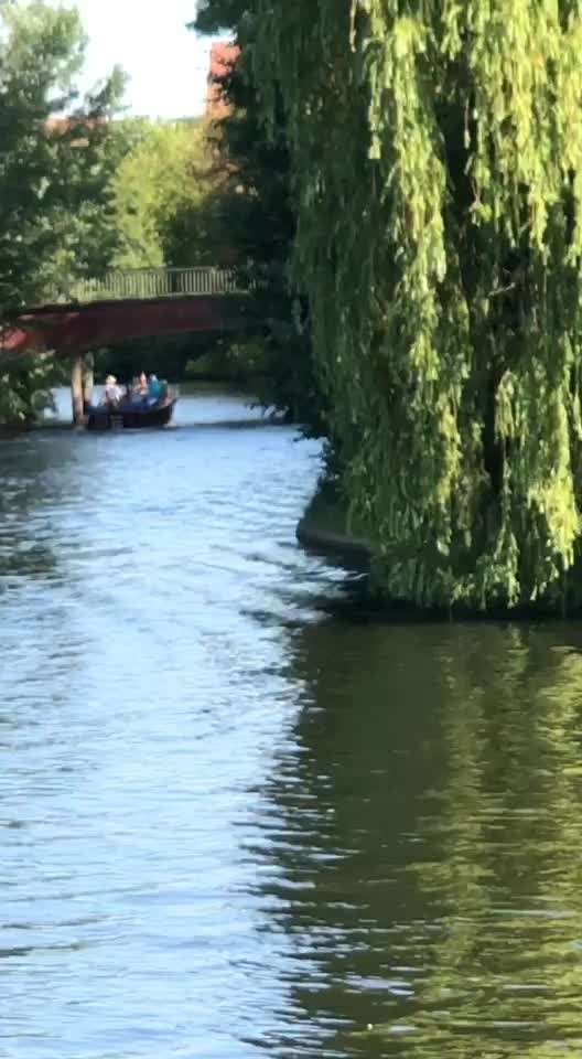 Radfahren mit Hund-Beitrag-Bild