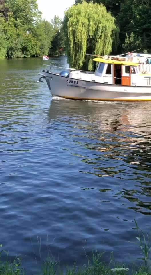 Radfahren mit Hund-Beitrag-Bild