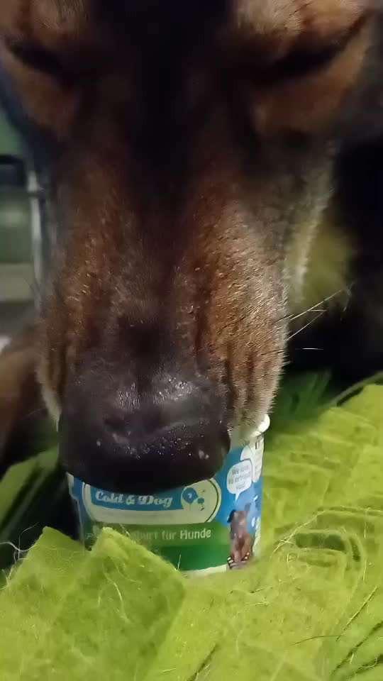 Freddys Kummerkasten-Beitrag-Bild