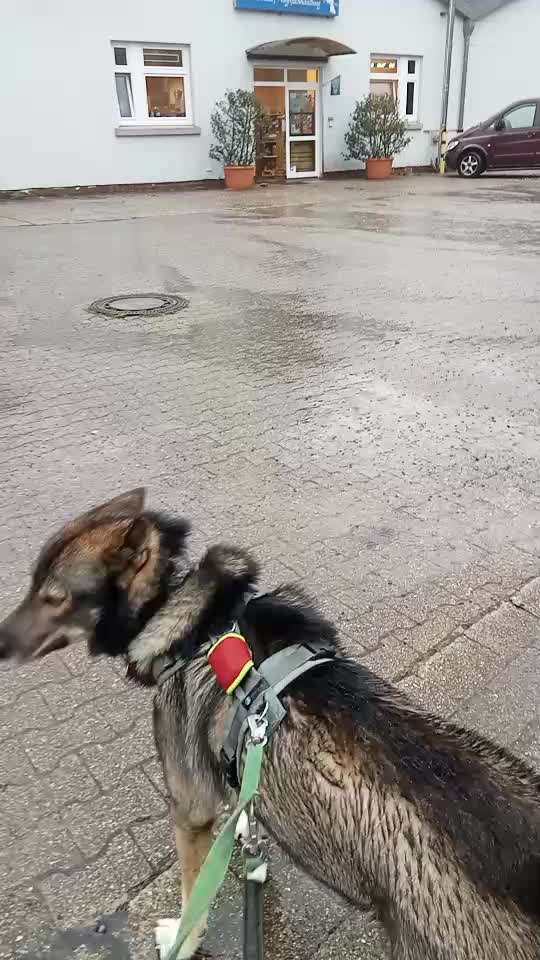 Freddys Kummerkasten-Beitrag-Bild