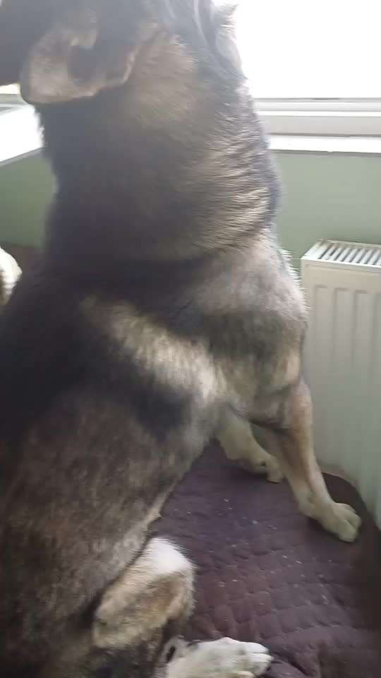 Bell Konzert-Beitrag-Bild