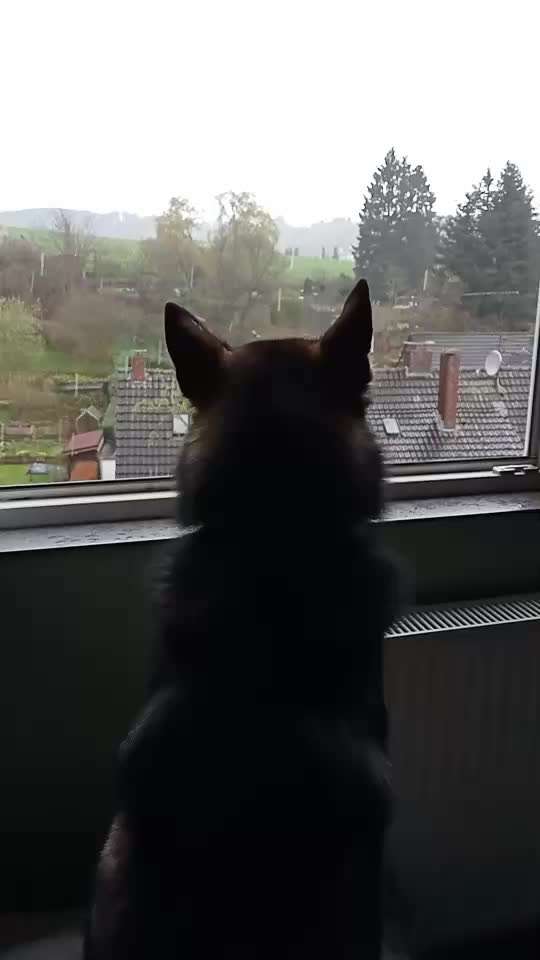 Freddys Kummerkasten-Beitrag-Bild