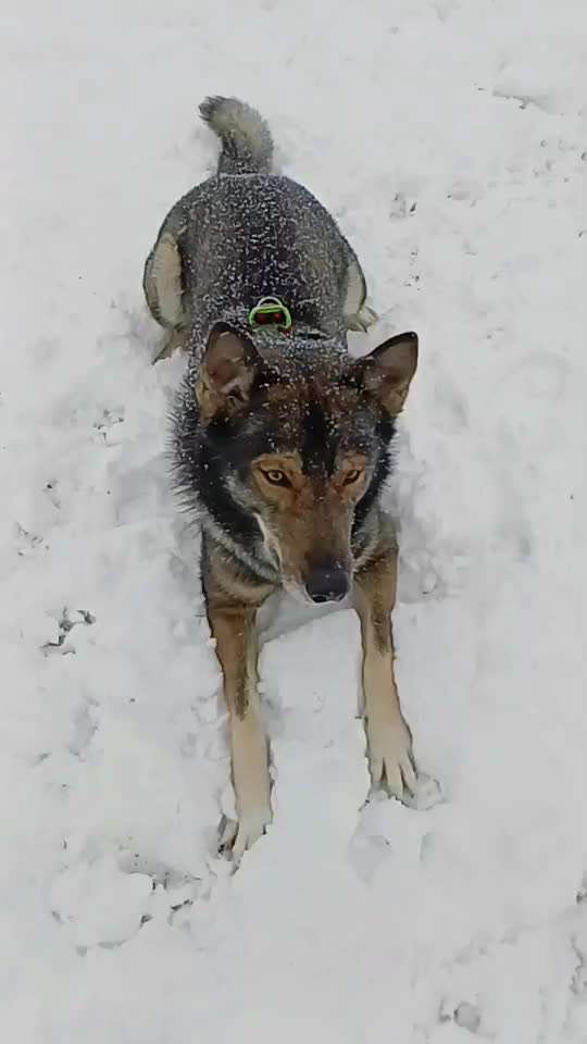 Freddys Kummerkasten-Beitrag-Bild