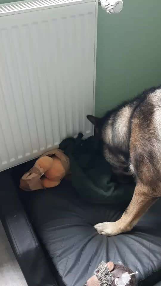 Vergraben von besonderen Schätzen!-Beitrag-Bild