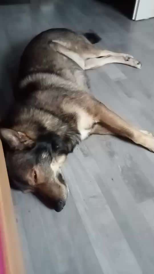 Freddys Kummerkasten-Beitrag-Bild