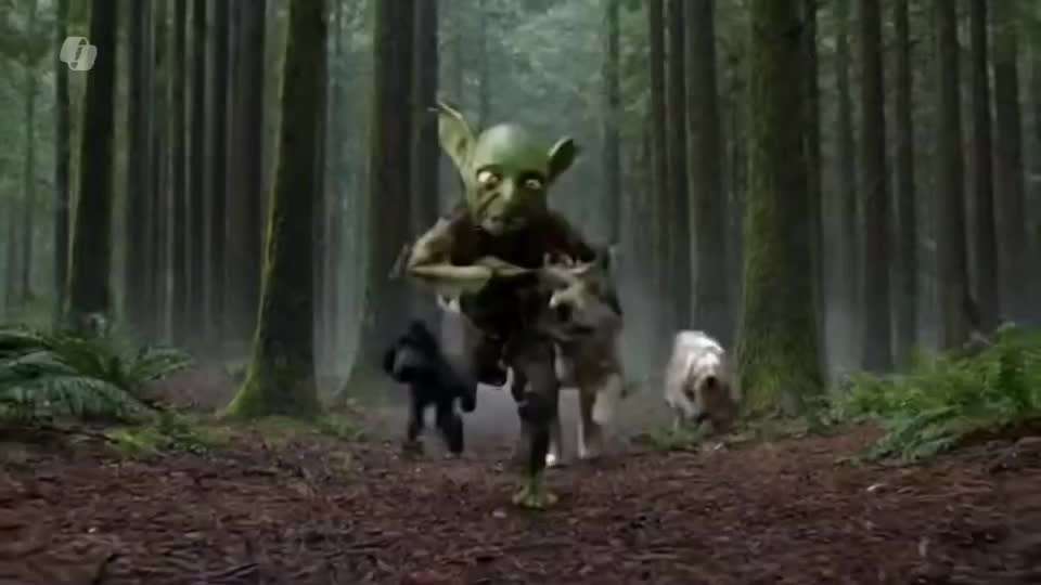 Freddys Kummerkasten-Beitrag-Bild