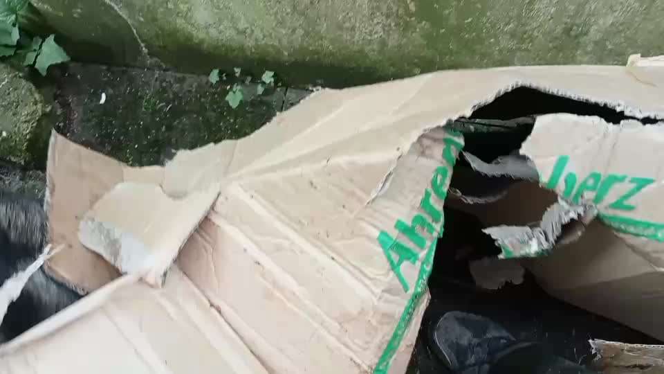 Freddys Kummerkasten-Beitrag-Bild