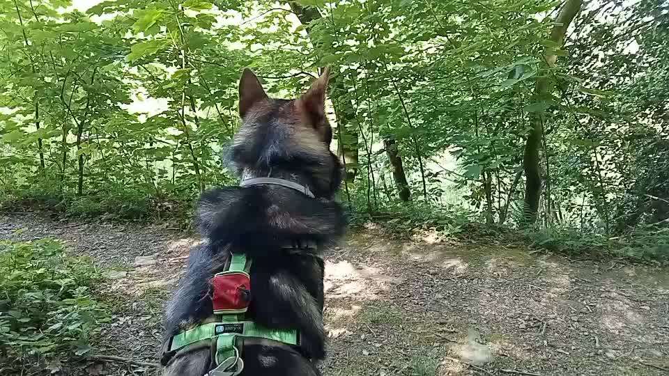 Freddys Kummerkasten-Beitrag-Bild