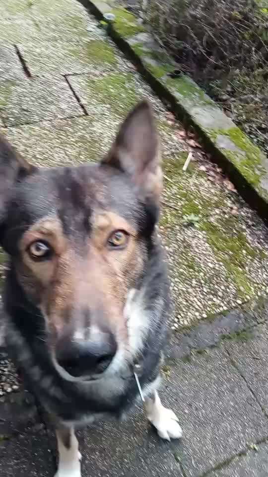 Freddys Kummerkasten-Beitrag-Bild