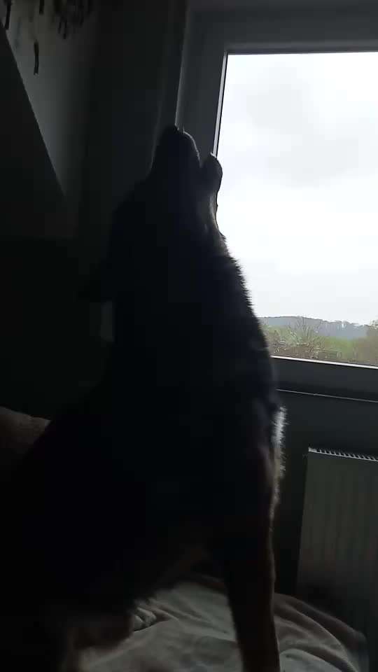 Freddys Kummerkasten-Beitrag-Bild