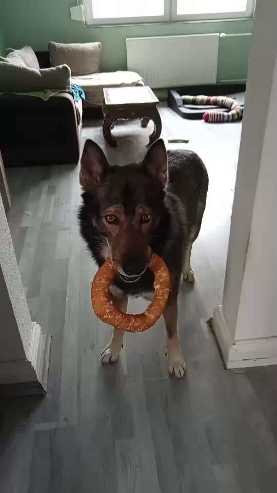 Freddys Kummerkasten-Beitrag-Bild