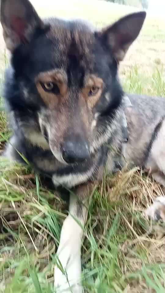 Freddys Kummerkasten-Beitrag-Bild