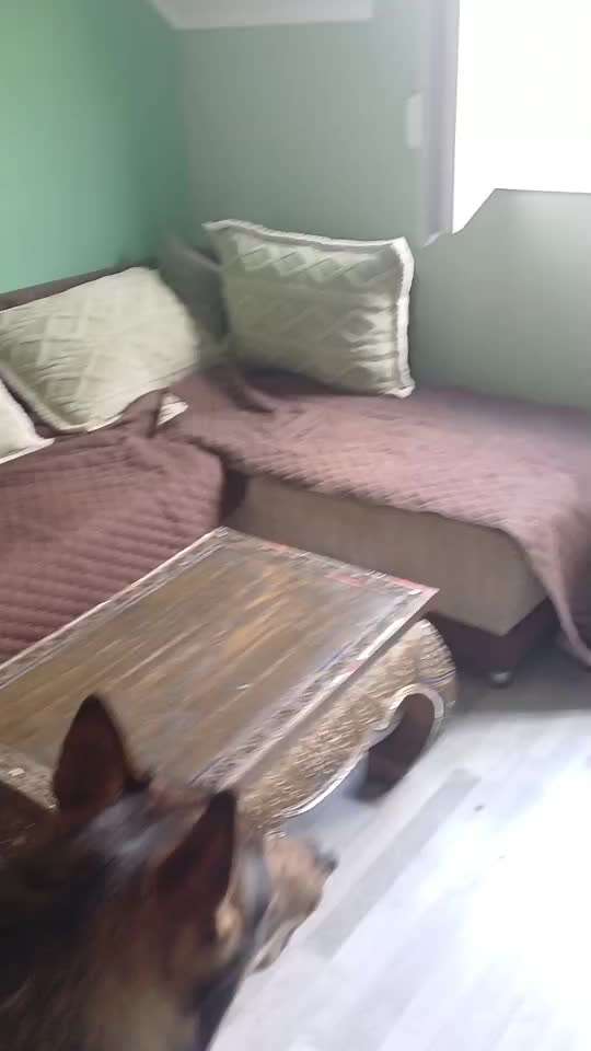 Freddys Kummerkasten-Beitrag-Bild