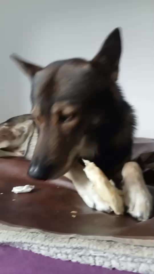 Freddys Kummerkasten-Beitrag-Bild