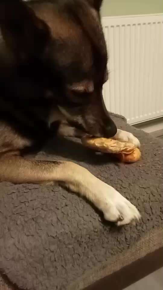 Video Challenge Nr. 4 - Lecker, Lecker-Beitrag-Bild