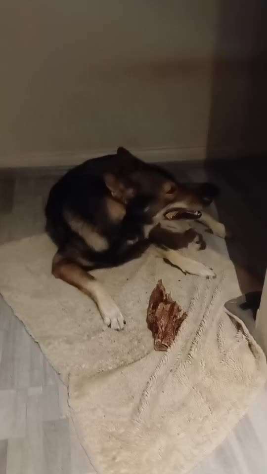 Freddys Kummerkasten-Beitrag-Bild