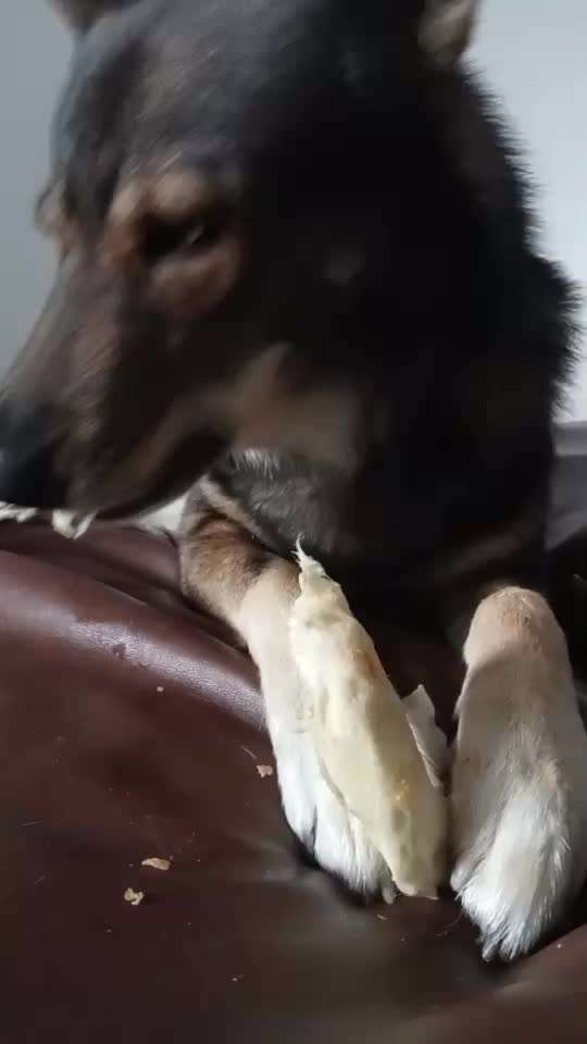 Freddys Kummerkasten-Beitrag-Bild