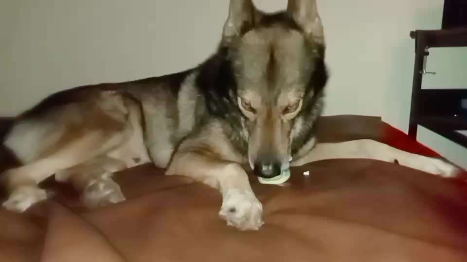 Freddys Kummerkasten-Beitrag-Bild