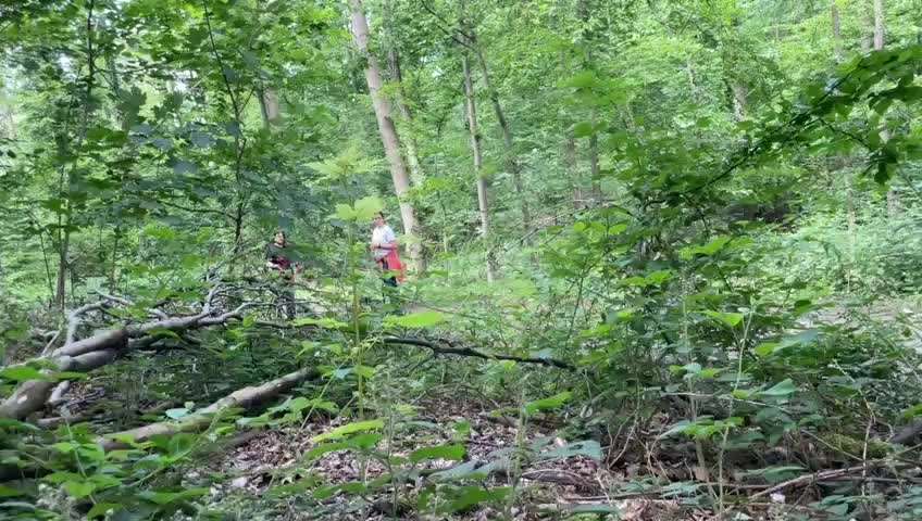 Wolfhunde Besitzer TWH oder SWH hier?-Beitrag-Bild