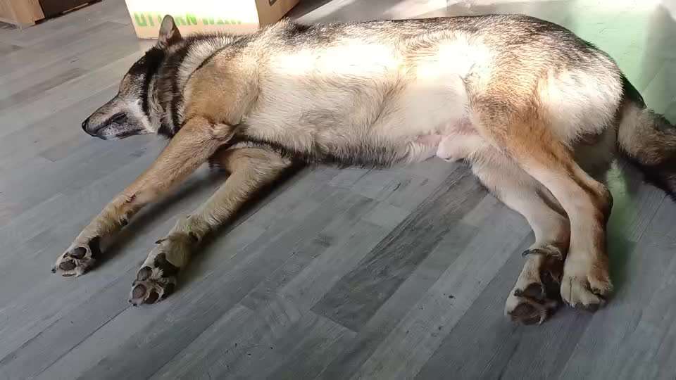 Freddys Kummerkasten-Beitrag-Bild