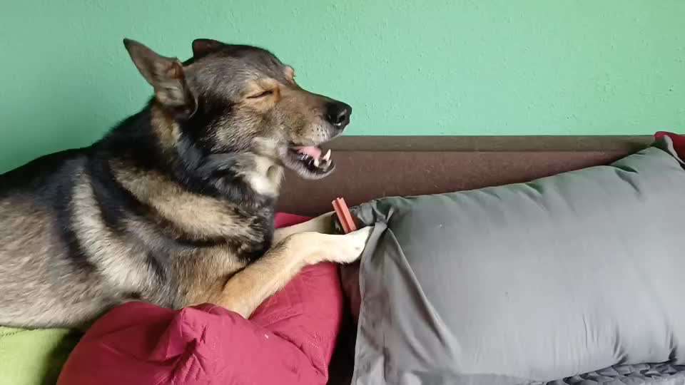 Freddys Kummerkasten-Beitrag-Bild