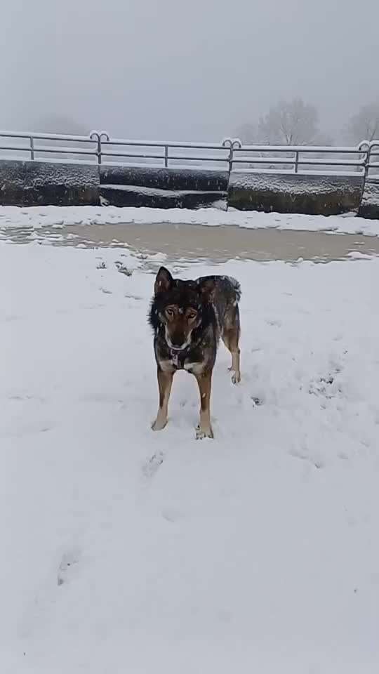 Freddys Kummerkasten-Beitrag-Bild