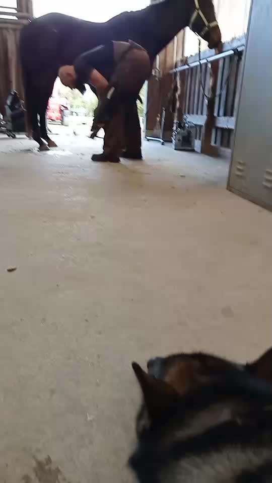 Freddys Kummerkasten-Beitrag-Bild