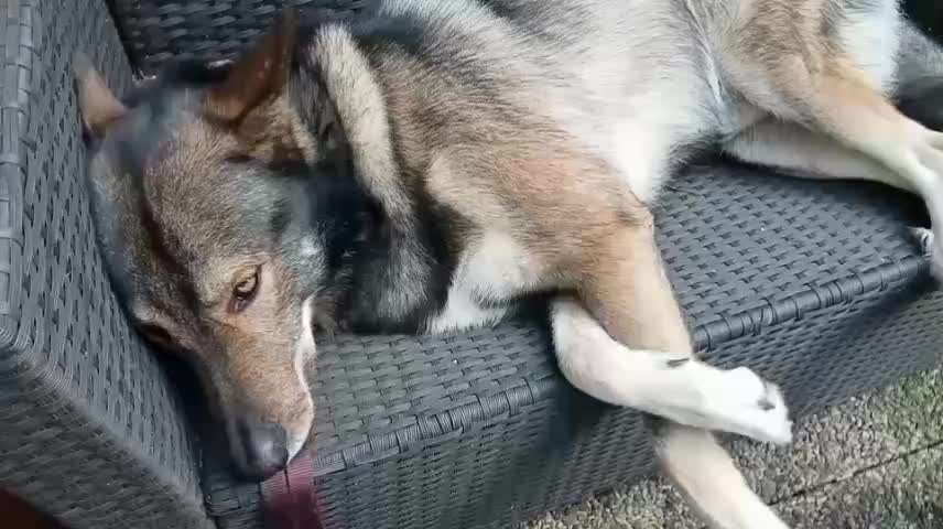 Freddys Kummerkasten-Beitrag-Bild