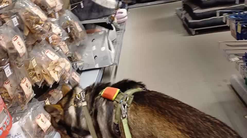 Freddys Kummerkasten-Beitrag-Bild