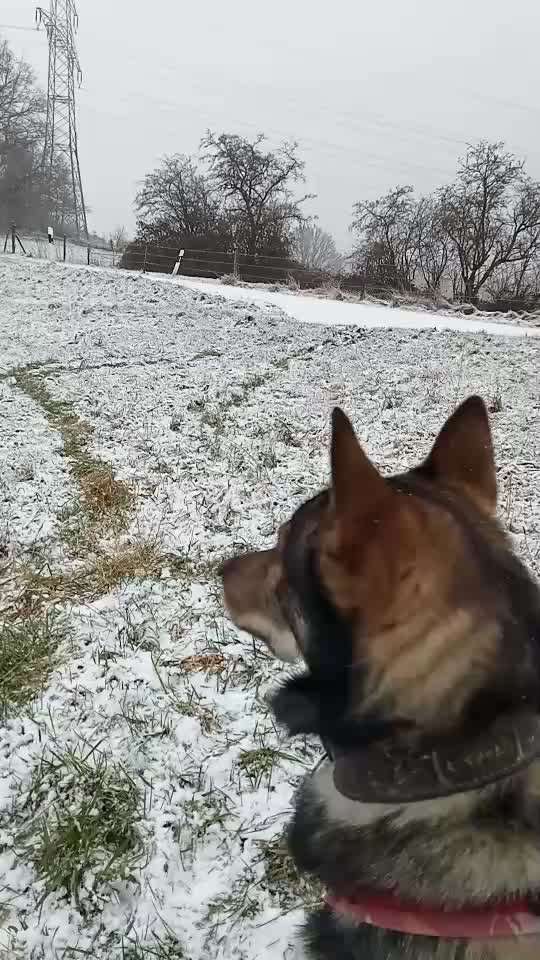 Freddys Kummerkasten-Beitrag-Bild